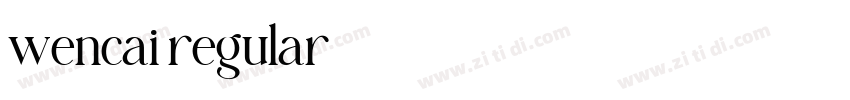 wencai regular字体转换